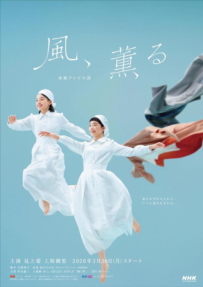 南风知我意电视剧海报